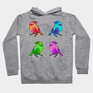 cute birds sticker pack collection Hoodie